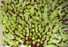 Le Chéile Pay It Forward Day 2019