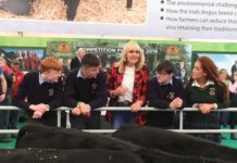 Aberdeen Angus Schools Competition