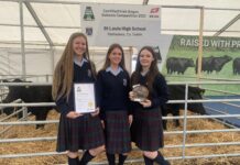 St Louis High School gains a herd!