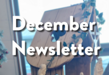 St. David’s Holy Faith Secondary School, Greystones eNewsletter December 2022