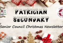 Patrician Secondary School Newbridge – Christmas Newsletter